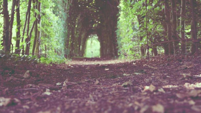 Why Does 11Xplay Com Home Show Server Updates Often?